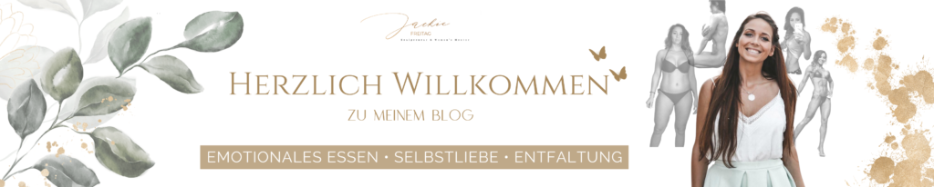 WEB – Mein Blog-2